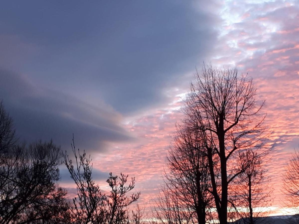 Ubytování v soukromí rodinné vily v Děčíně Esterno foto